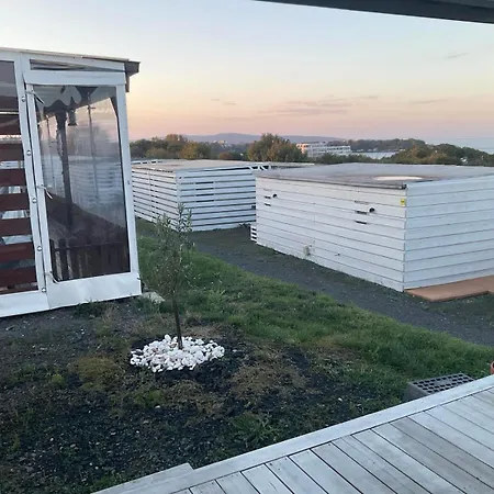 Gardenia - Seabed Lozenets