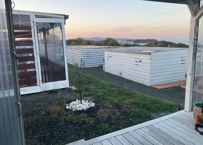 Gardenia - Seabed ロゼネッツ